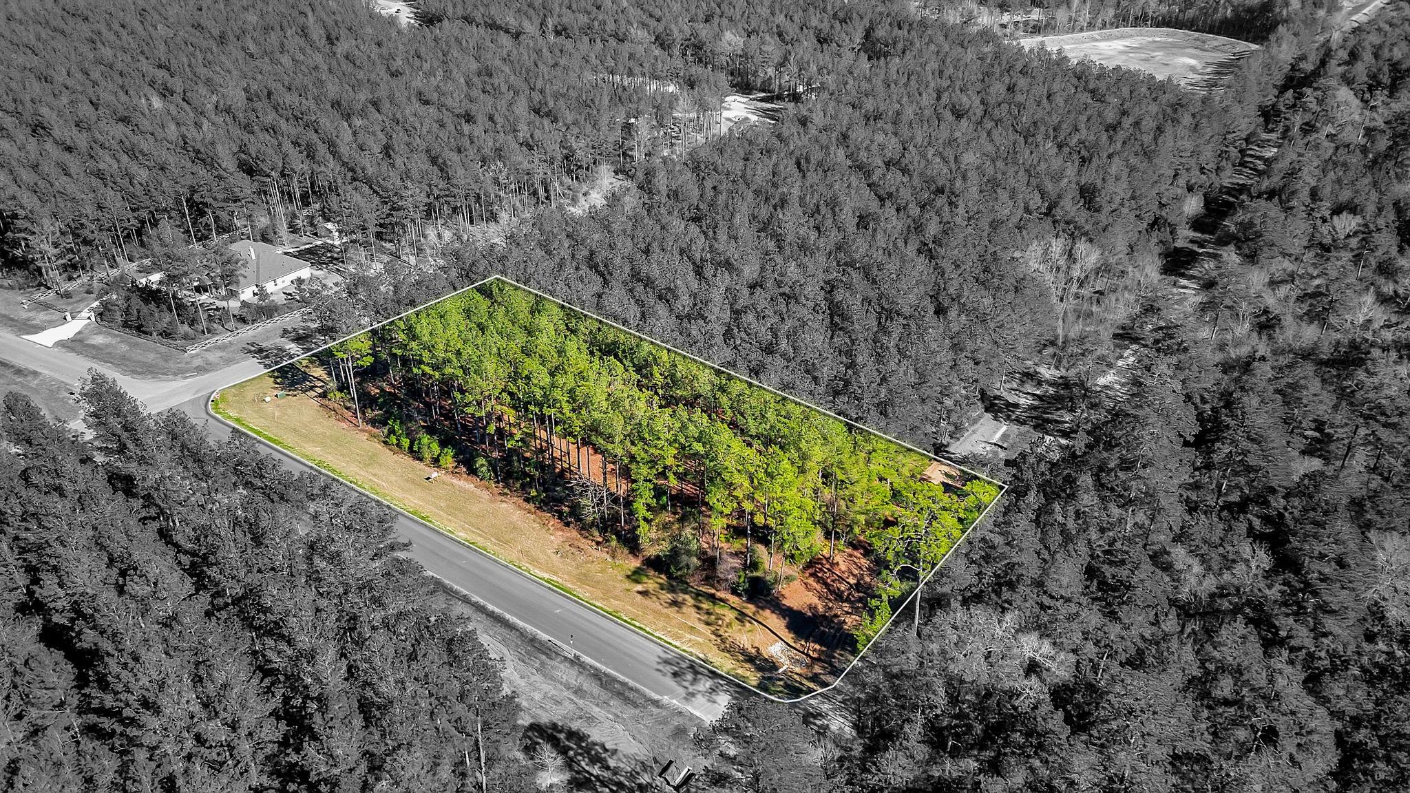 10999 Ruger Road