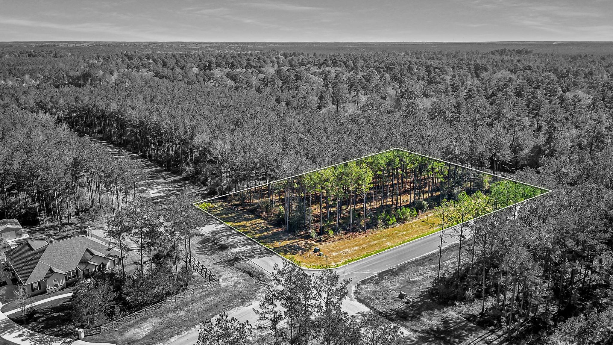 10999 Ruger Road