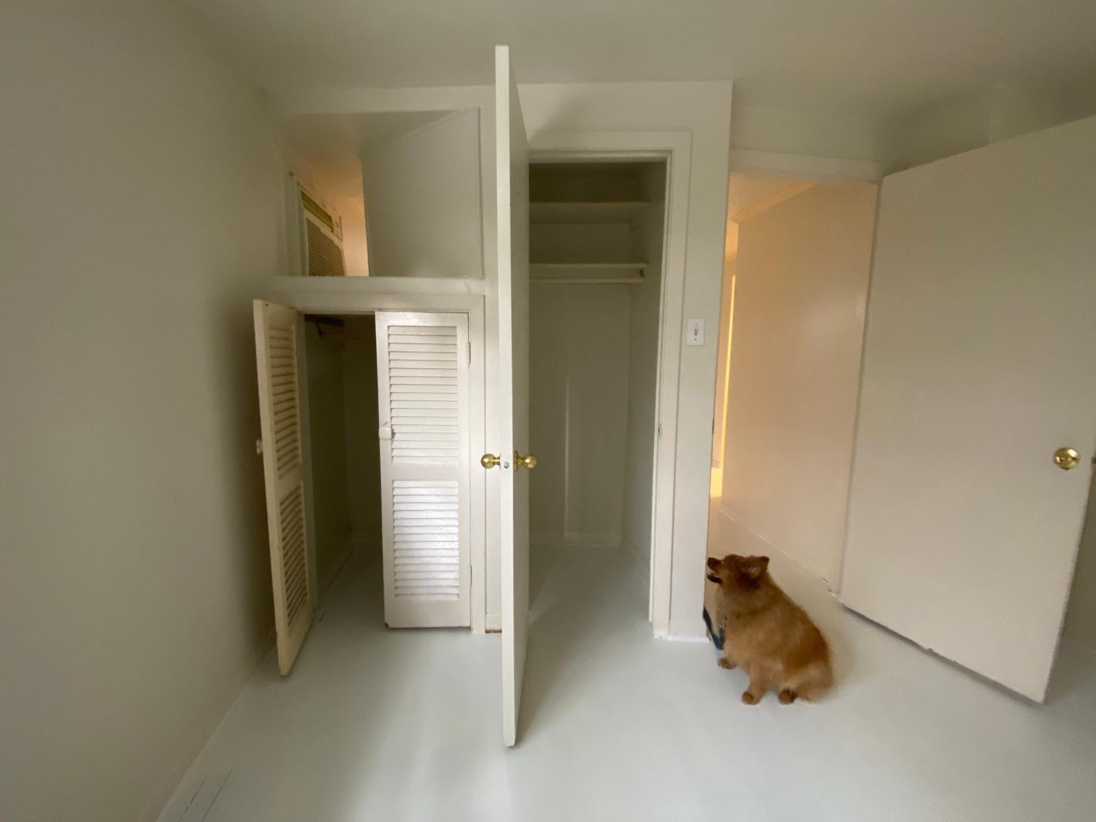 1909 Colquitt Street # 3