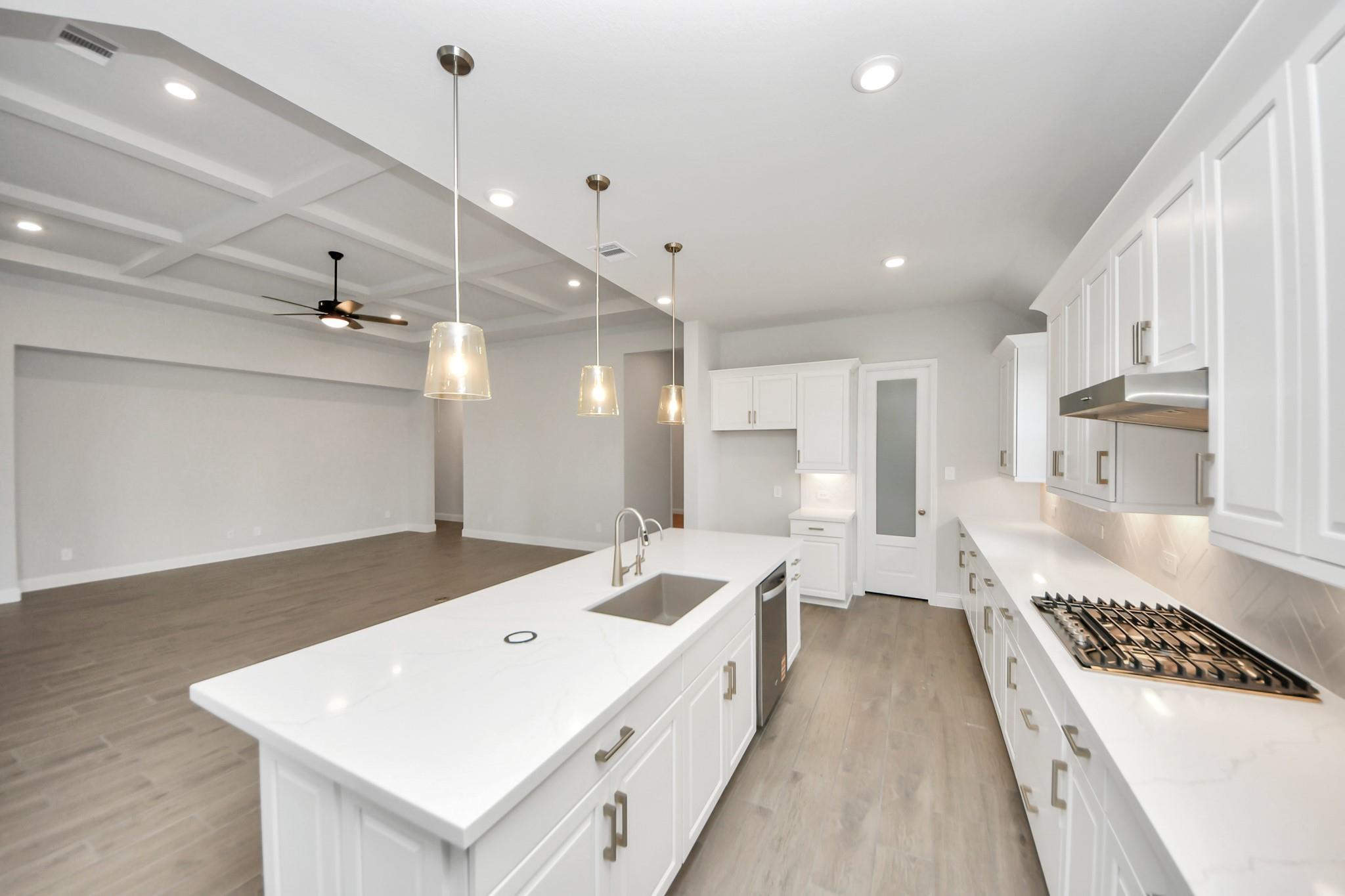 15489 Sun Rose Street