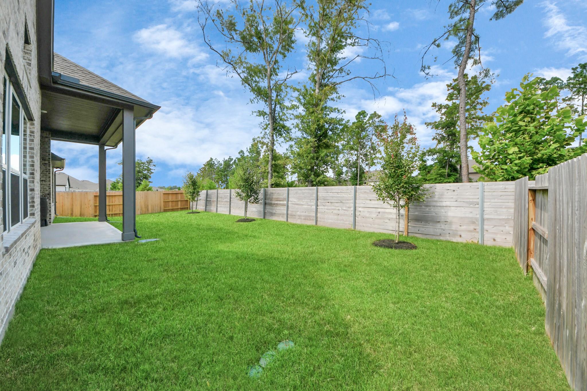 15489 Sun Rose Street