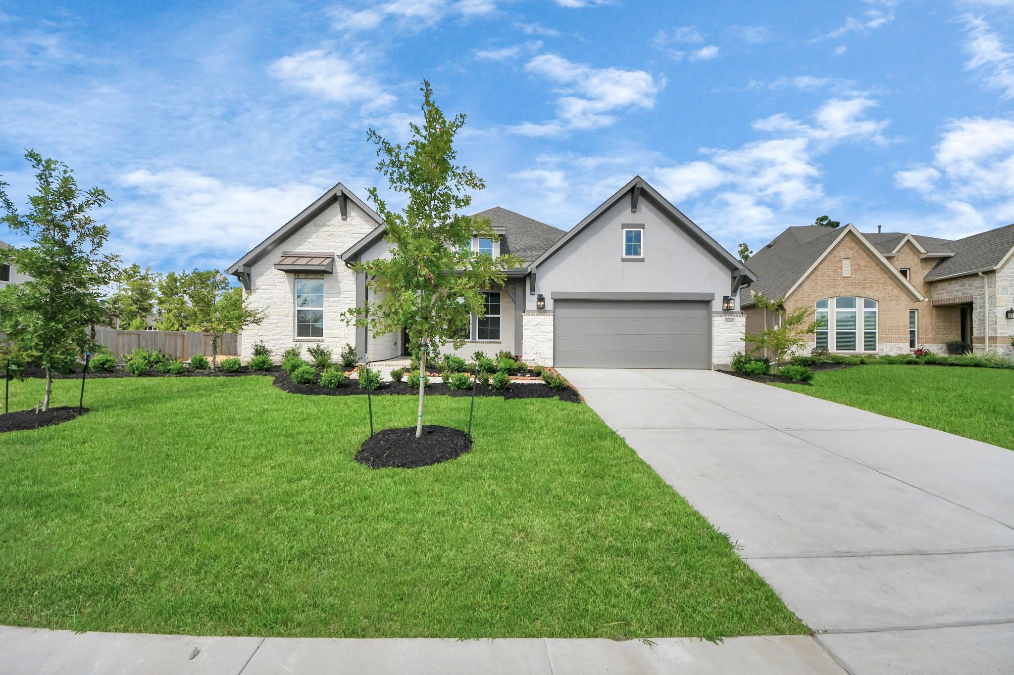 15489 Sun Rose Street