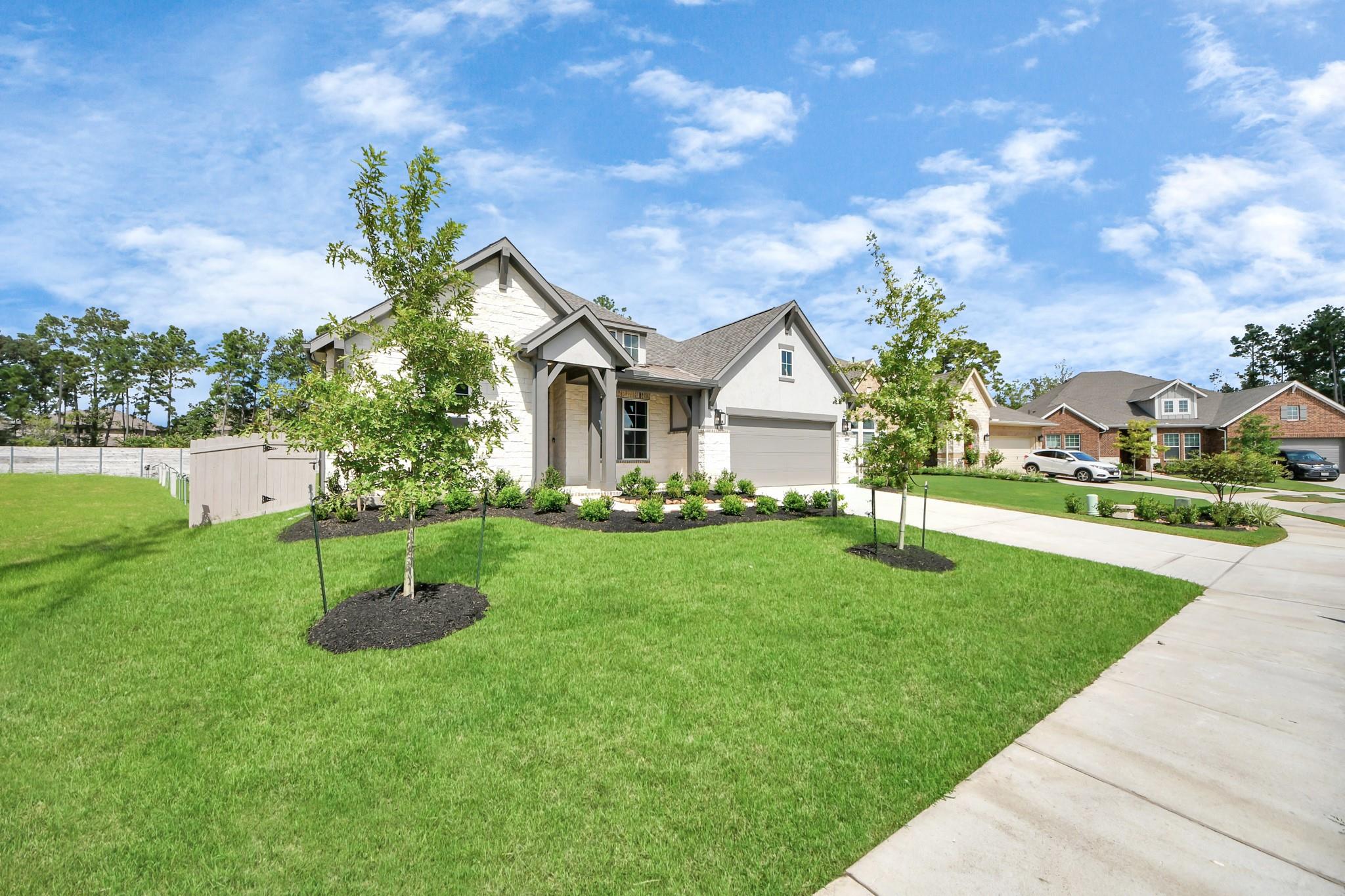 15489 Sun Rose Street