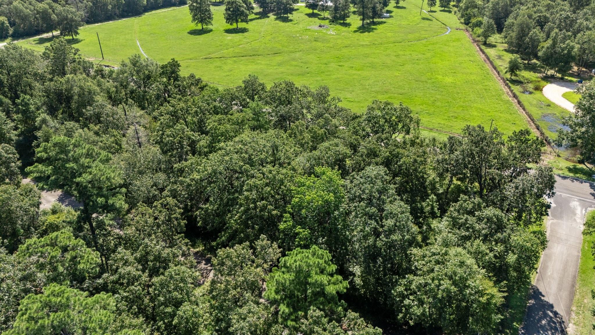 TBD Woodland Drive