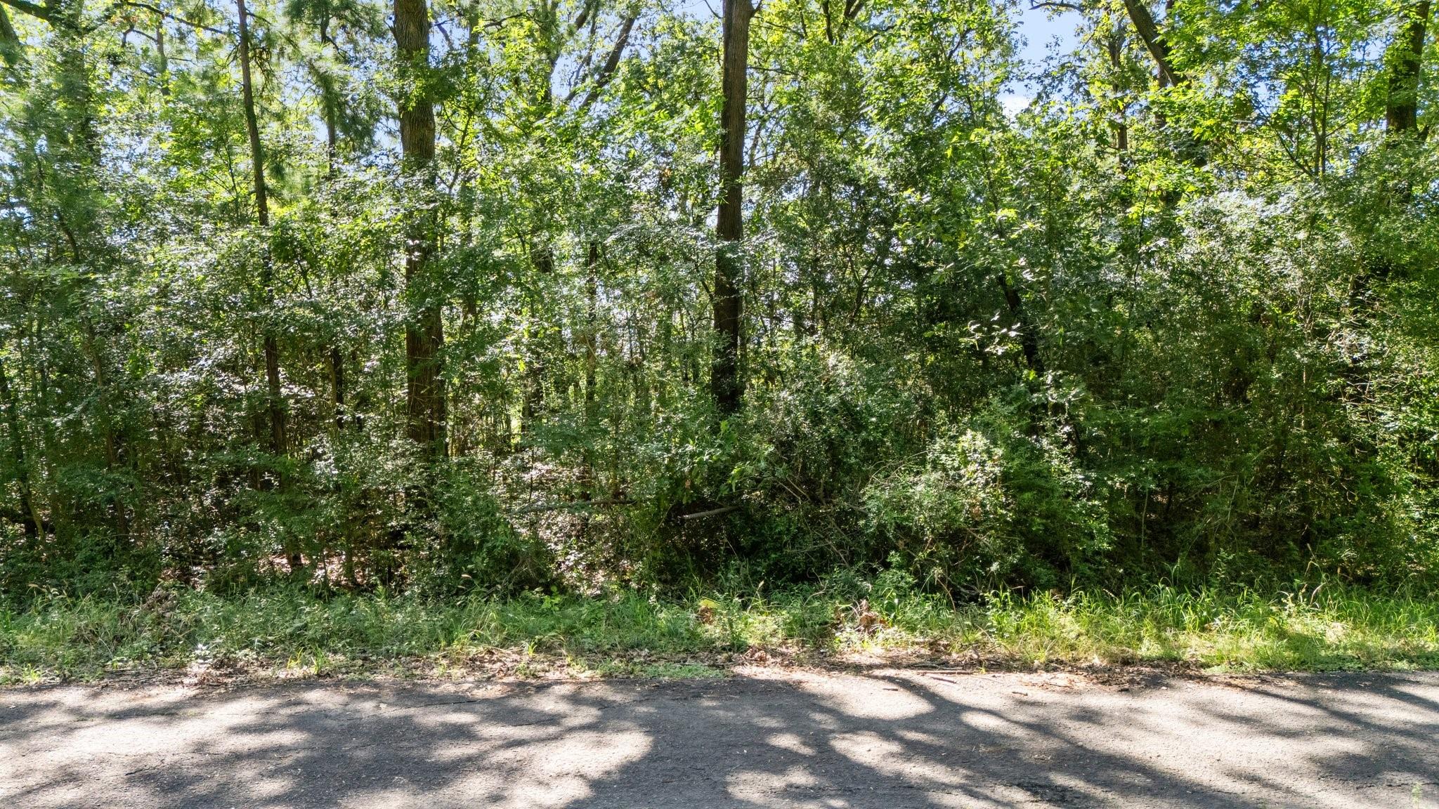 TBD Woodland Drive