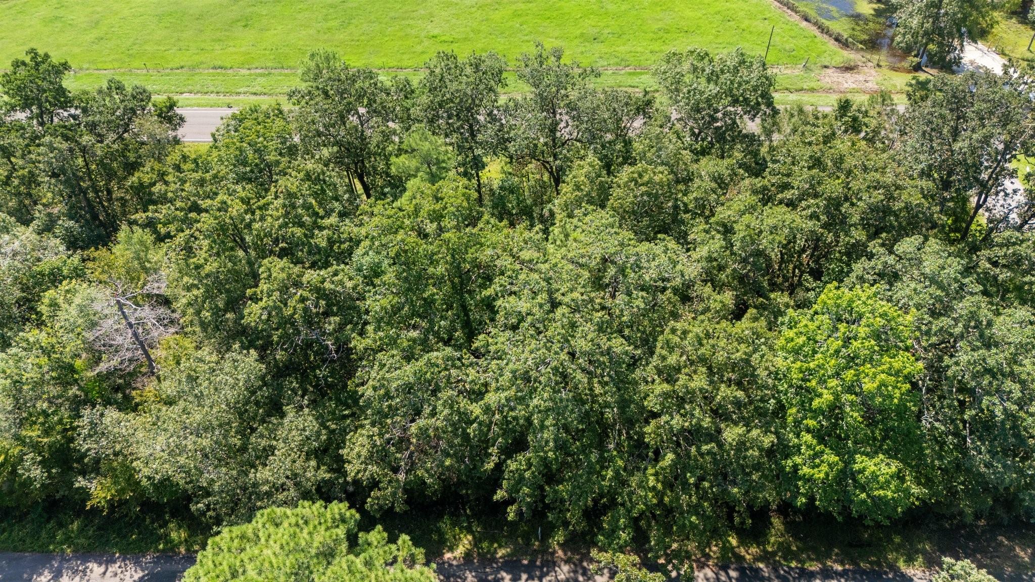 TBD Woodland Drive