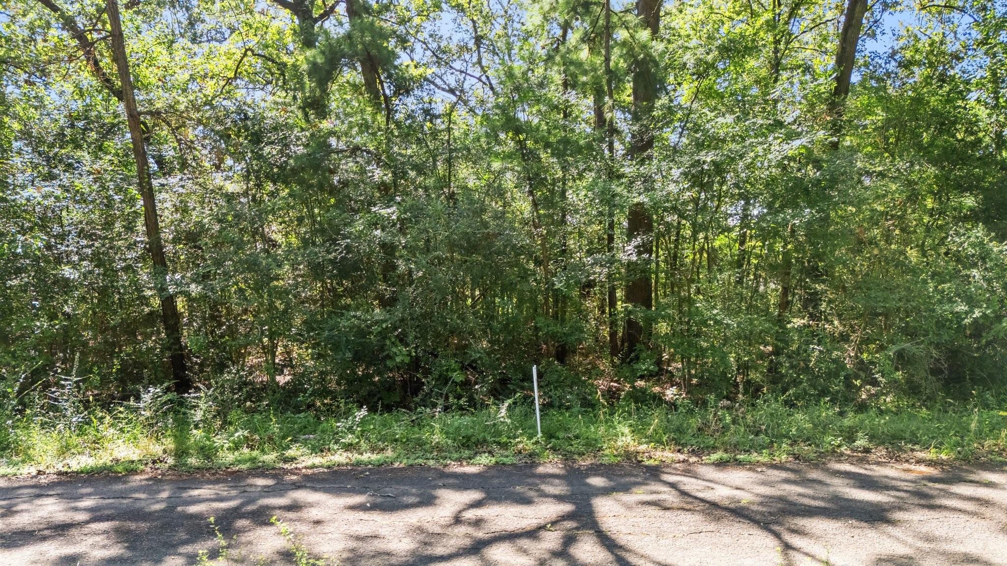 TBD Woodland Drive