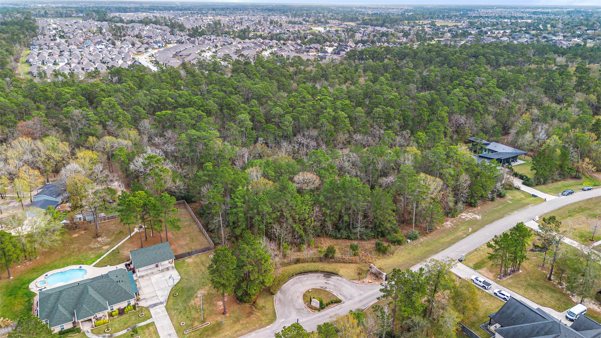 12037 Oak Forest Lane