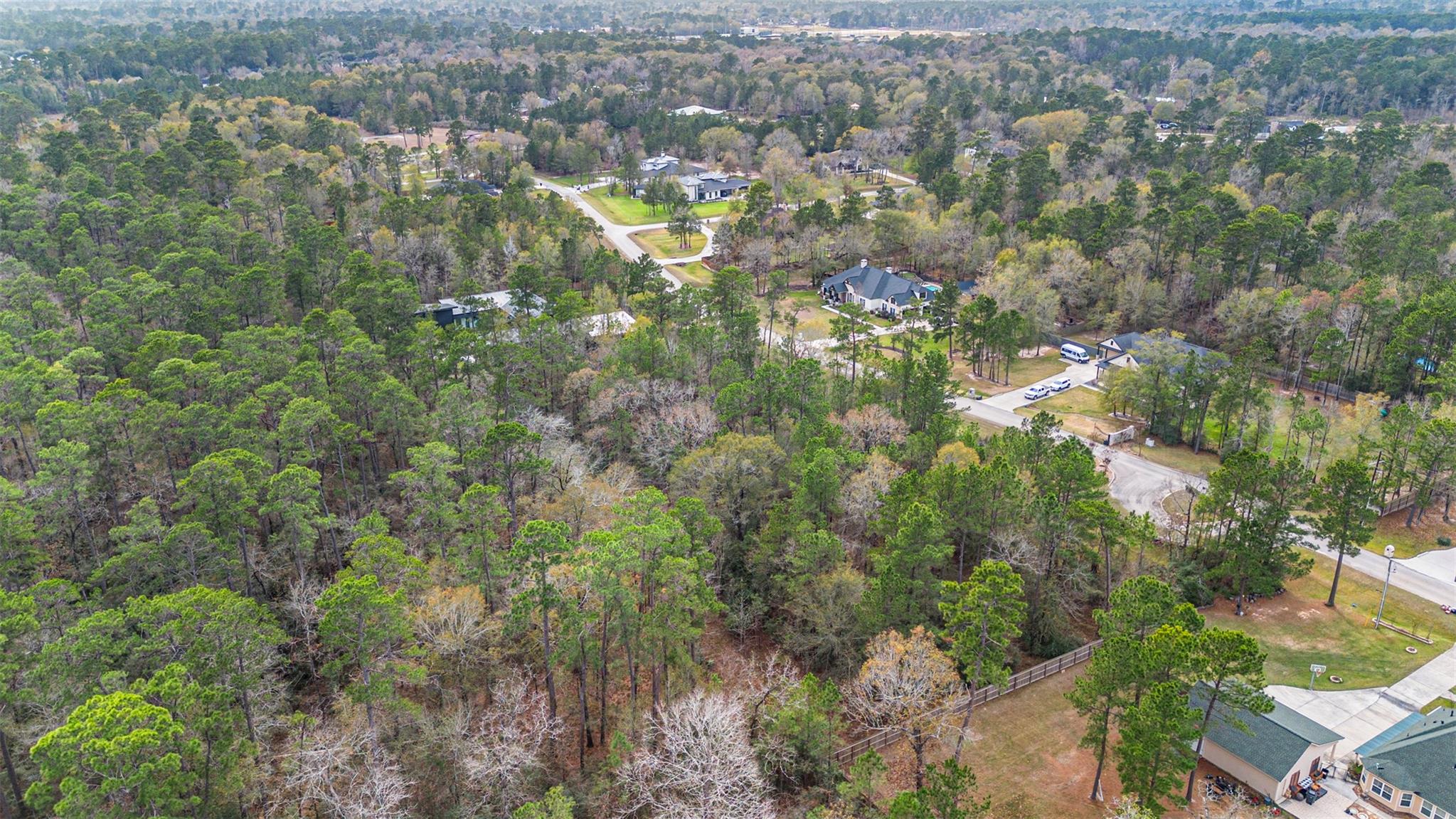 12037 Oak Forest Lane