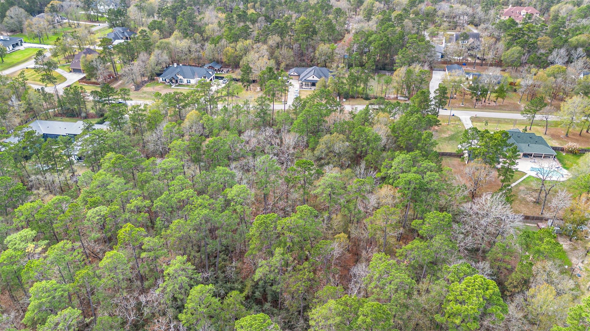 12037 Oak Forest Lane