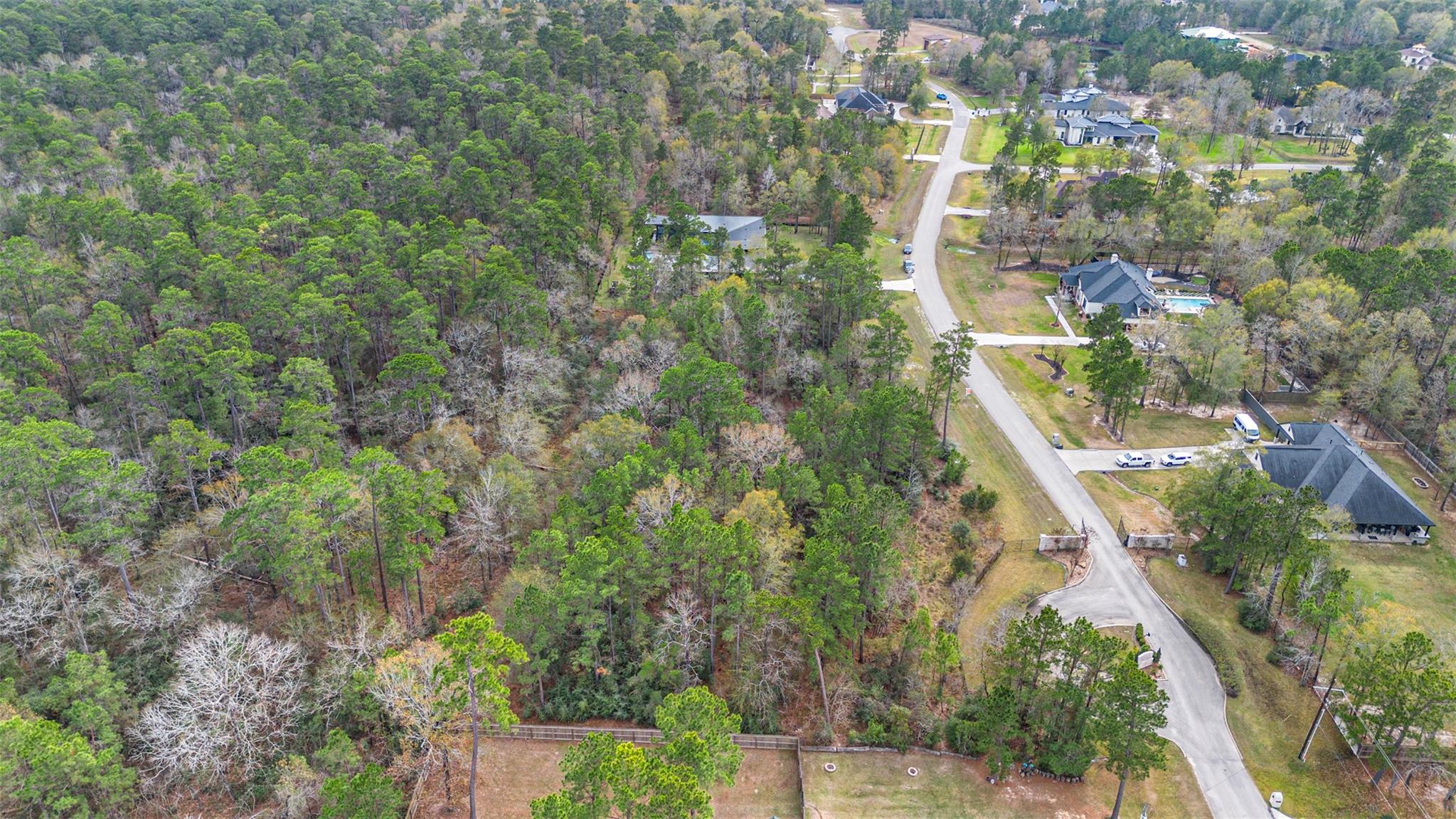 12037 Oak Forest Lane