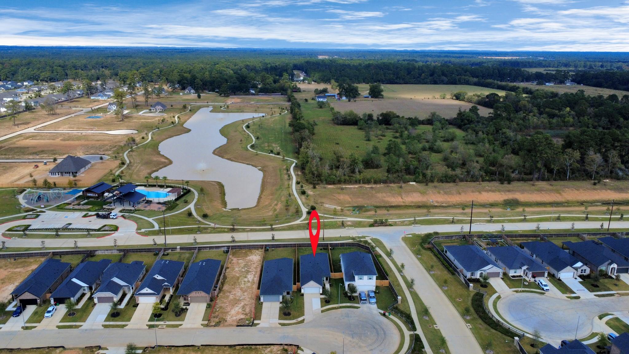 20906 Carob Tree Lane, Tomball