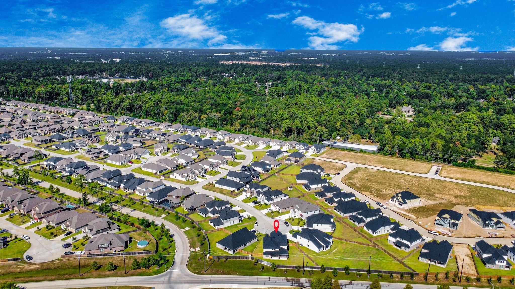 3022 Knotty Forest Drive