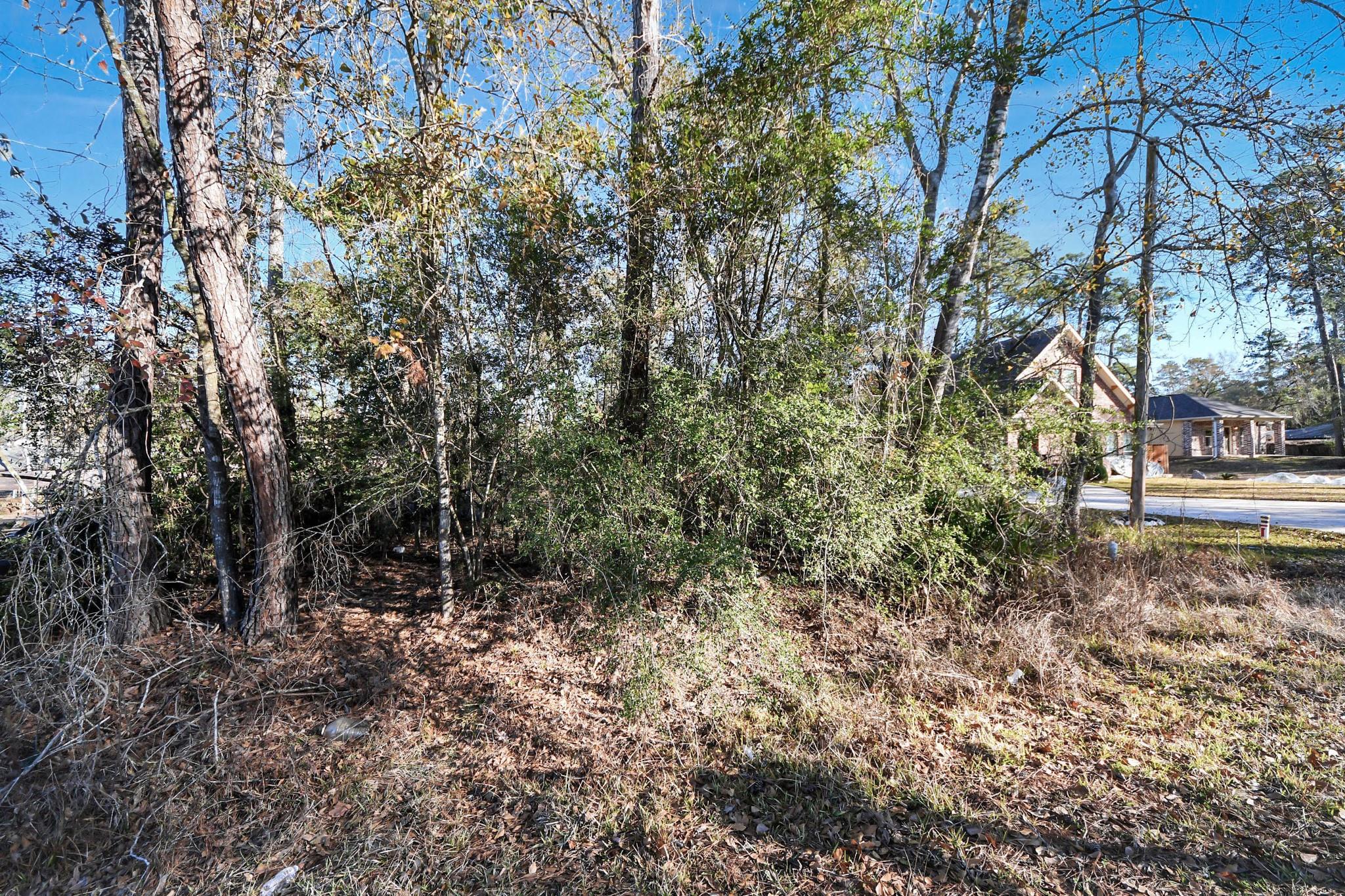 1506 Flamingo Street