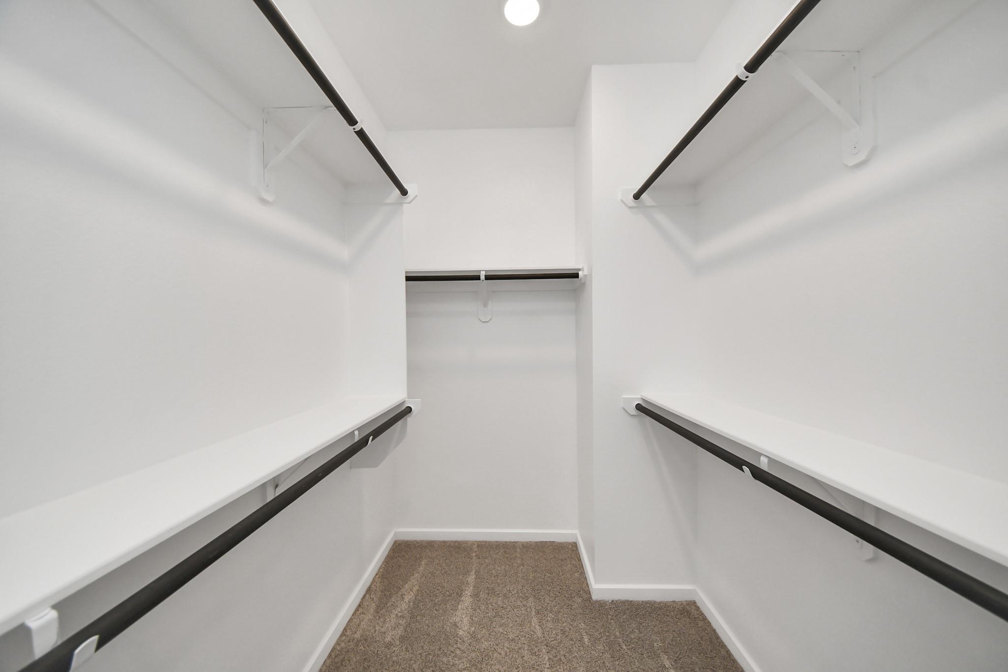 11831 Marbled White Lane