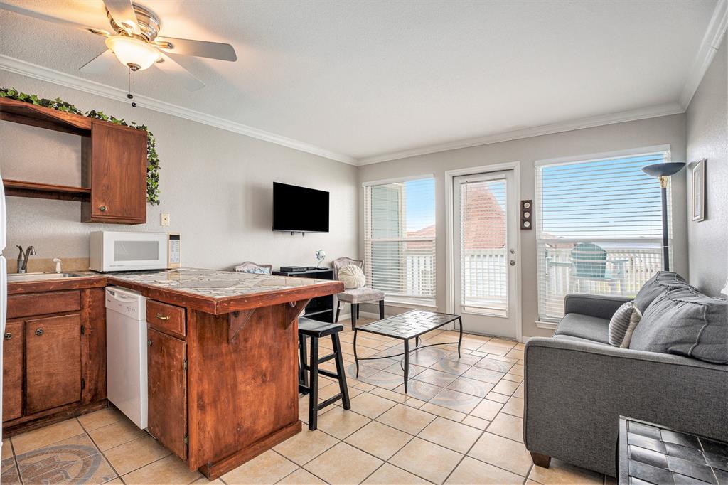 10811 San Luis Pass # 2119