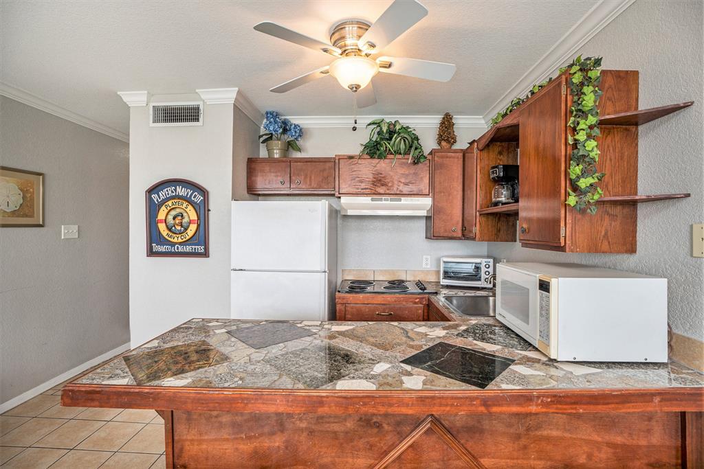 10811 San Luis Pass # 2119