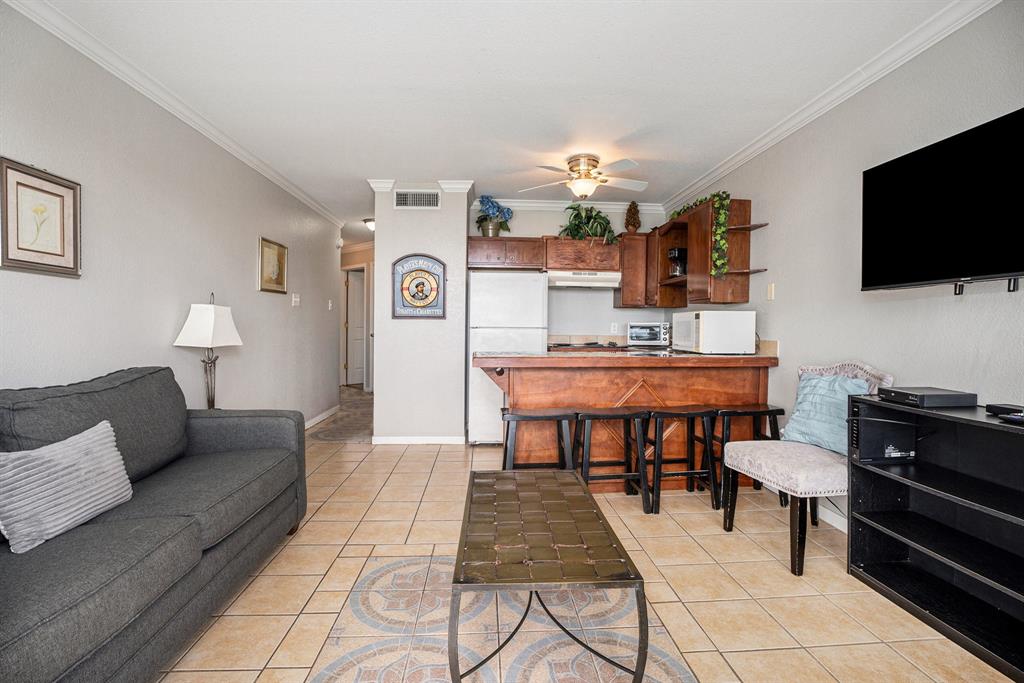 10811 San Luis Pass # 2119