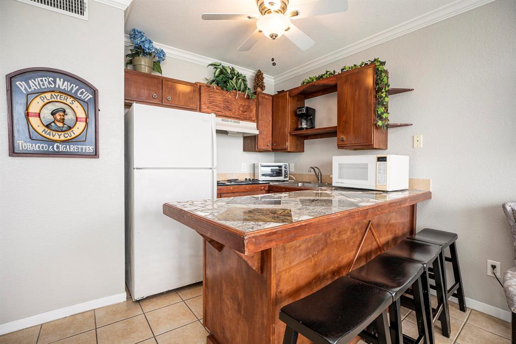 10811 San Luis Pass # 2119