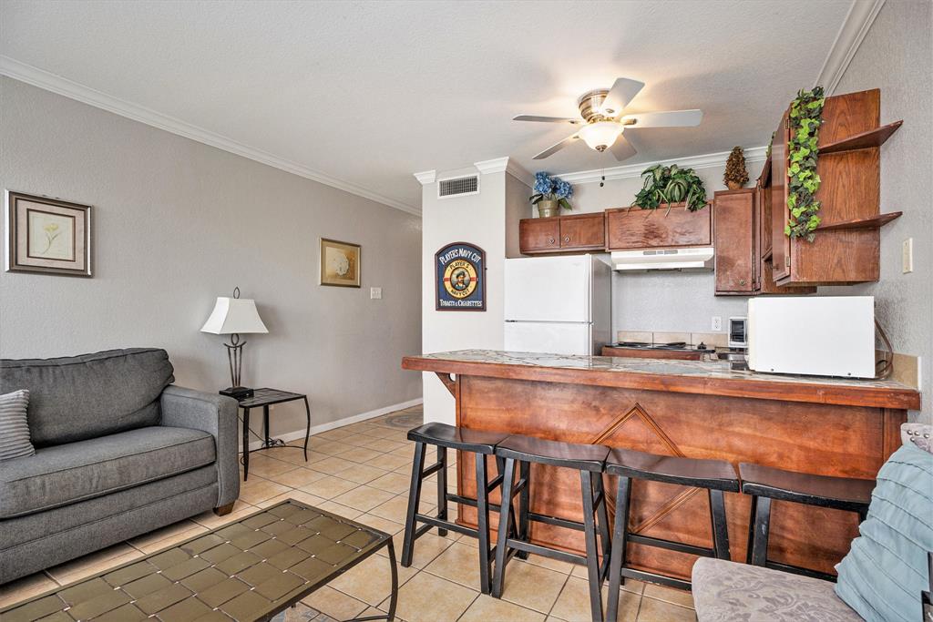 10811 San Luis Pass # 2119