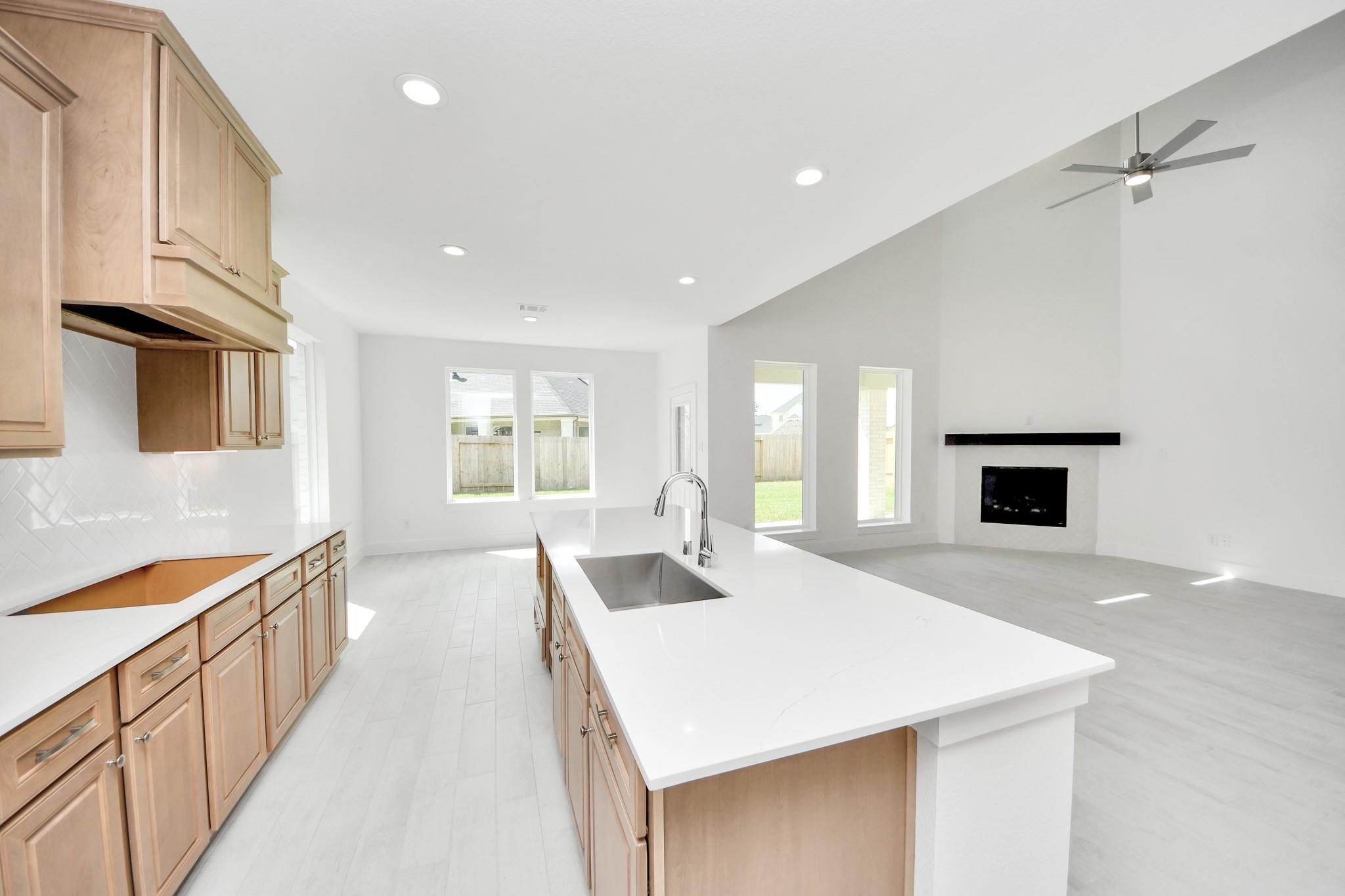 3038 Native Spring Drive