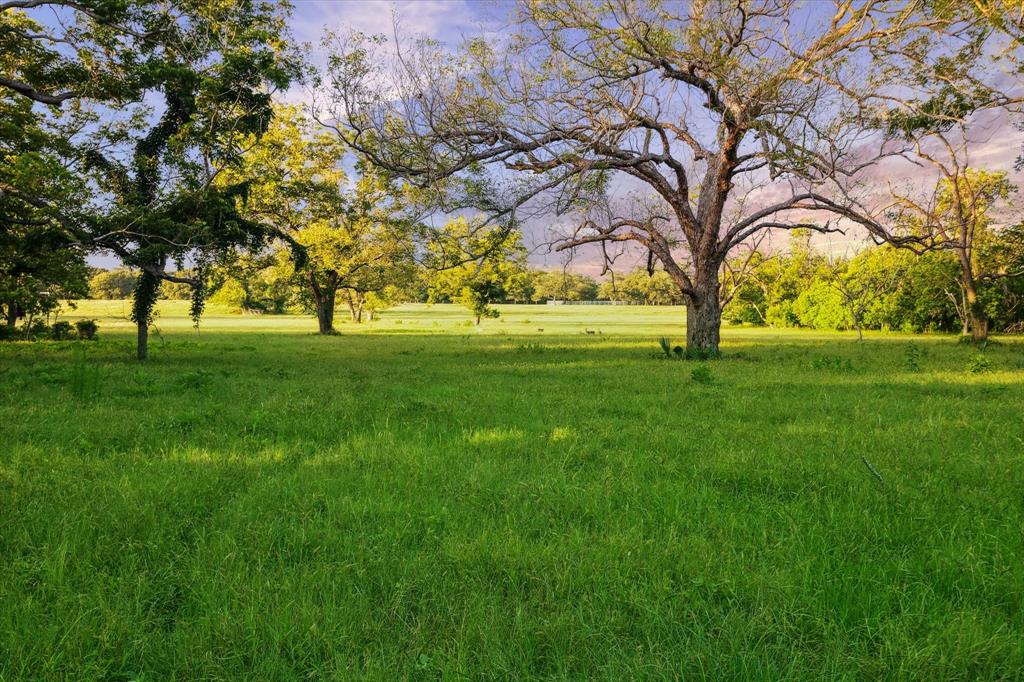 558 County Road 875