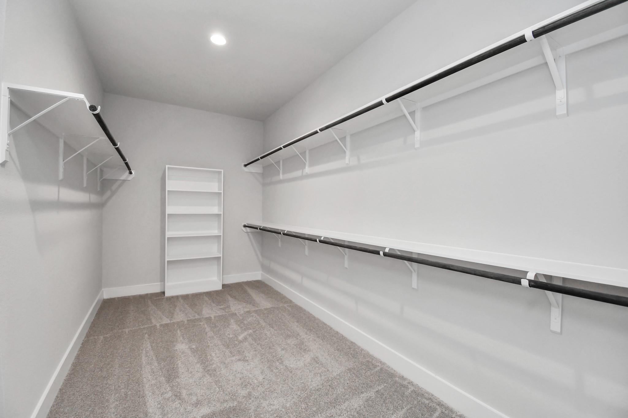 3019 Knotty Forest Drive