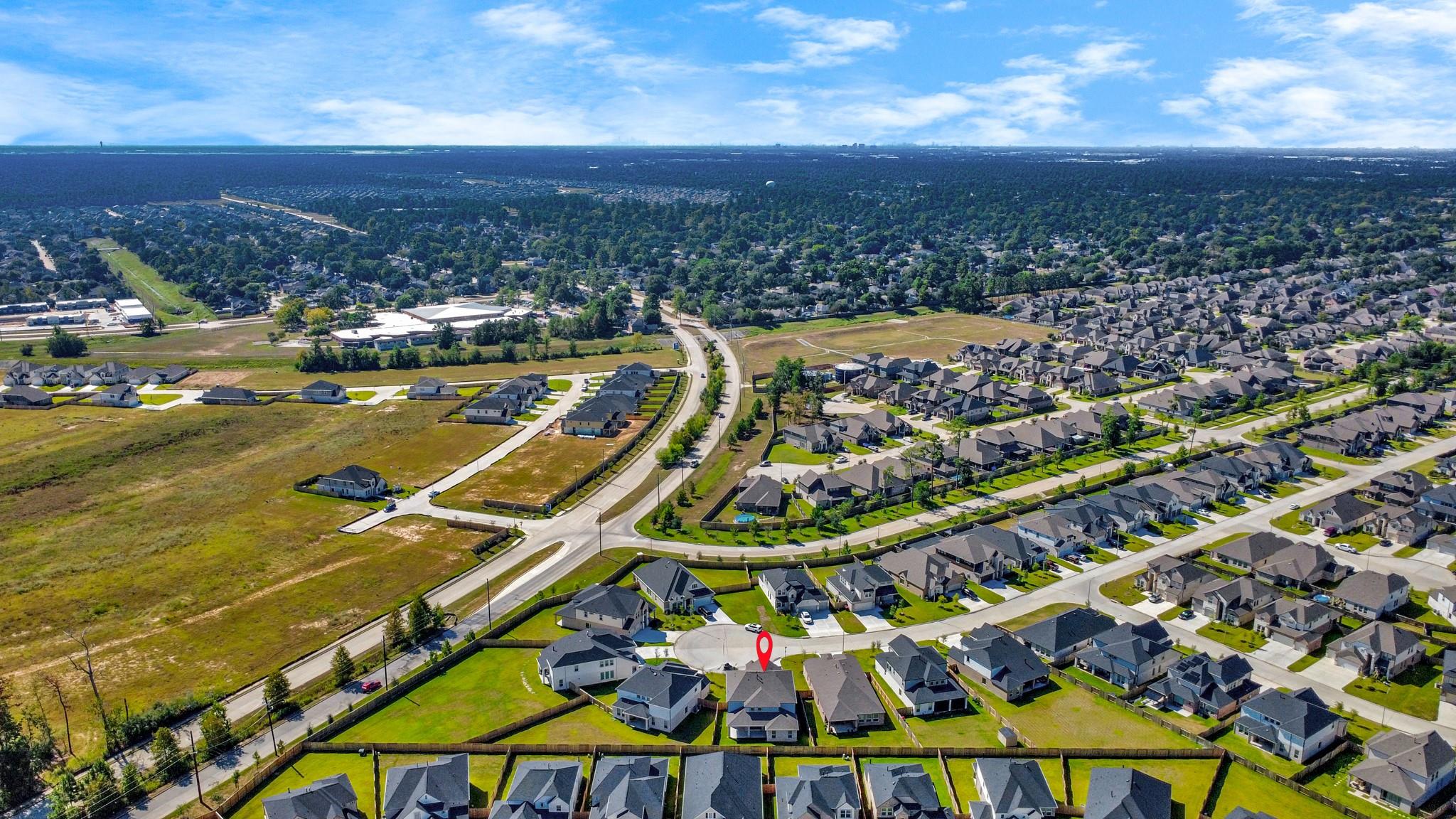 3019 Knotty Forest Drive