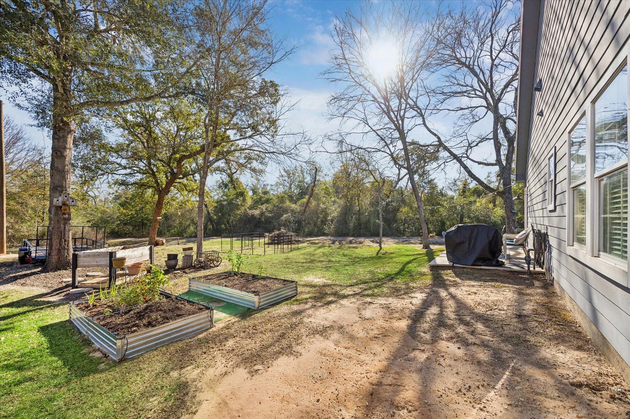 26550 Armadillo Drive