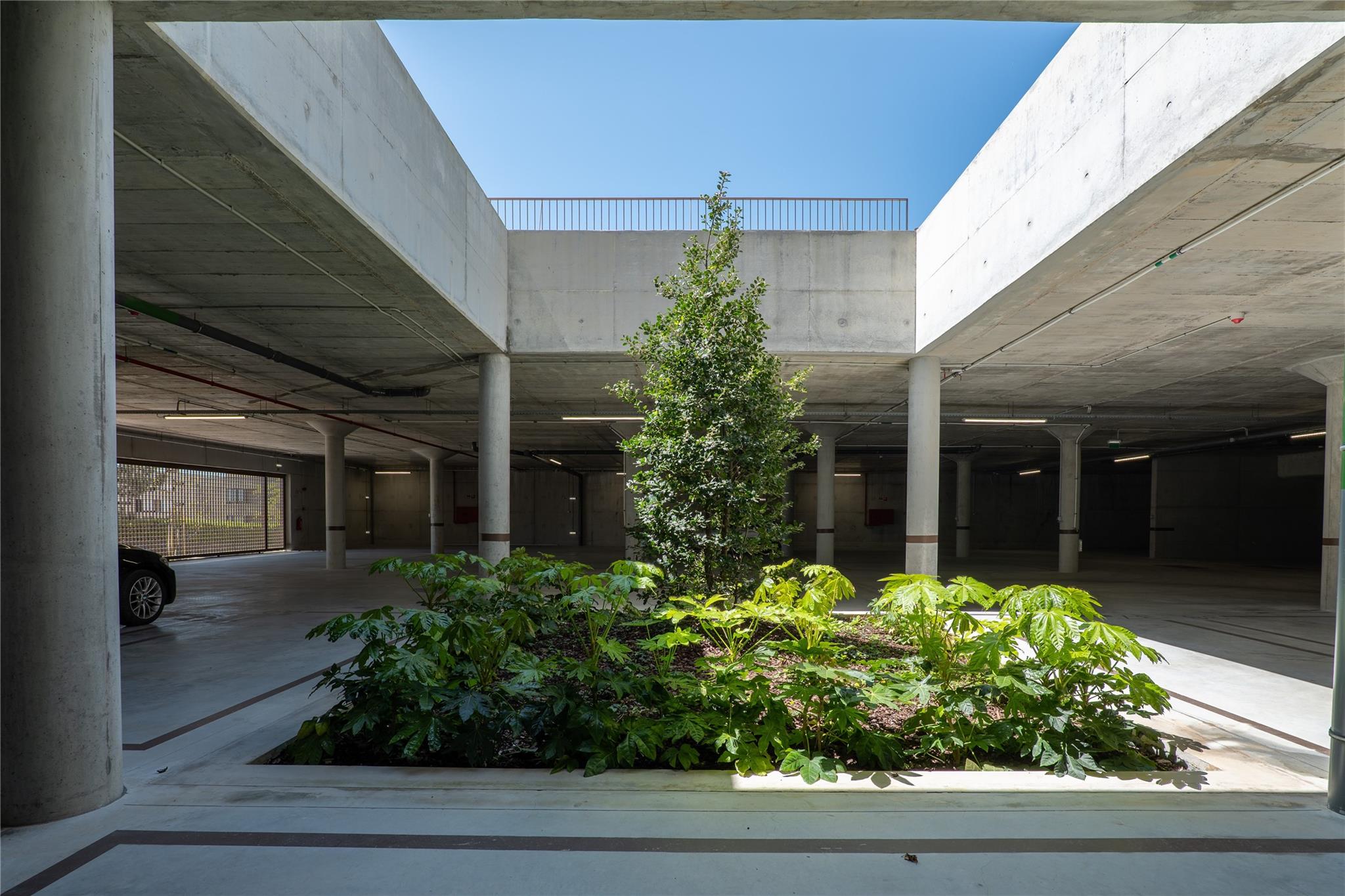 1345 Rua De Diogo Botelho # G