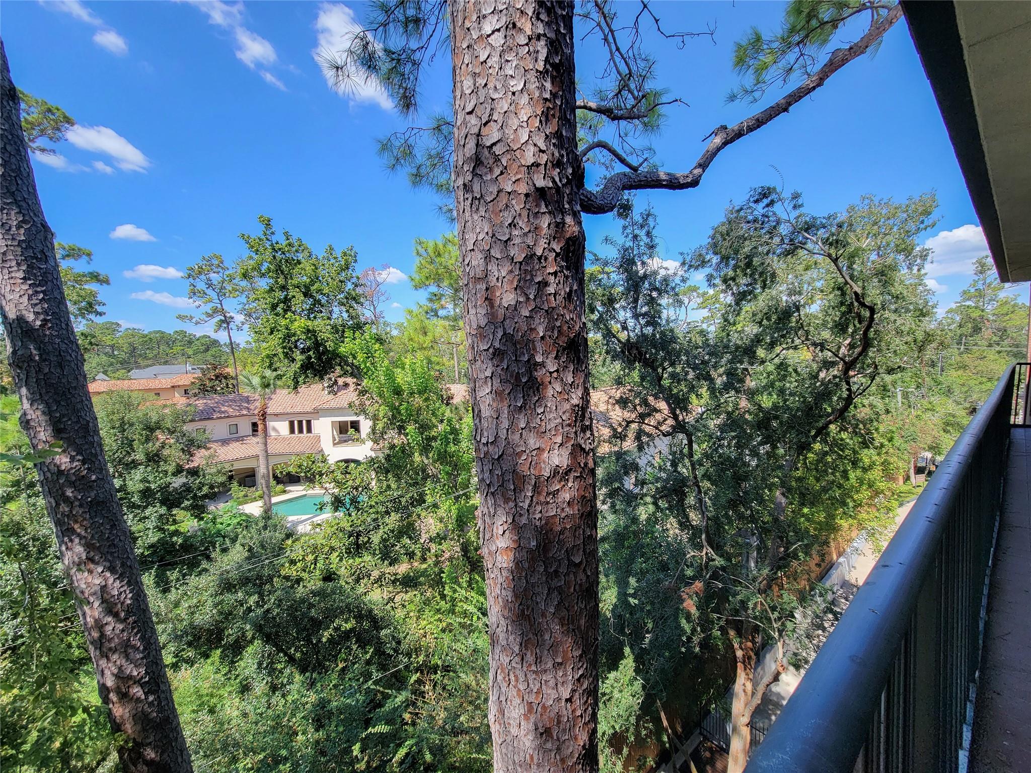 9333 Memorial Drive # 410