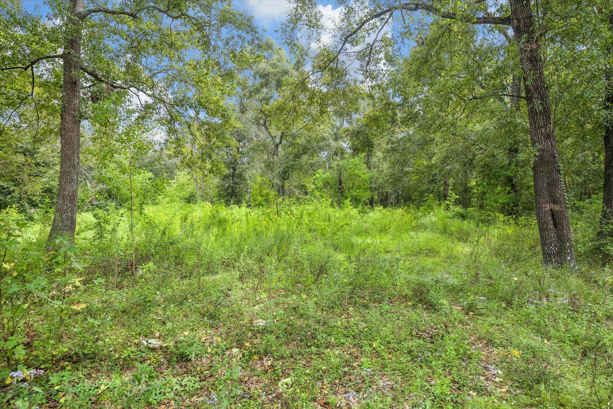 271 Trails End Drive