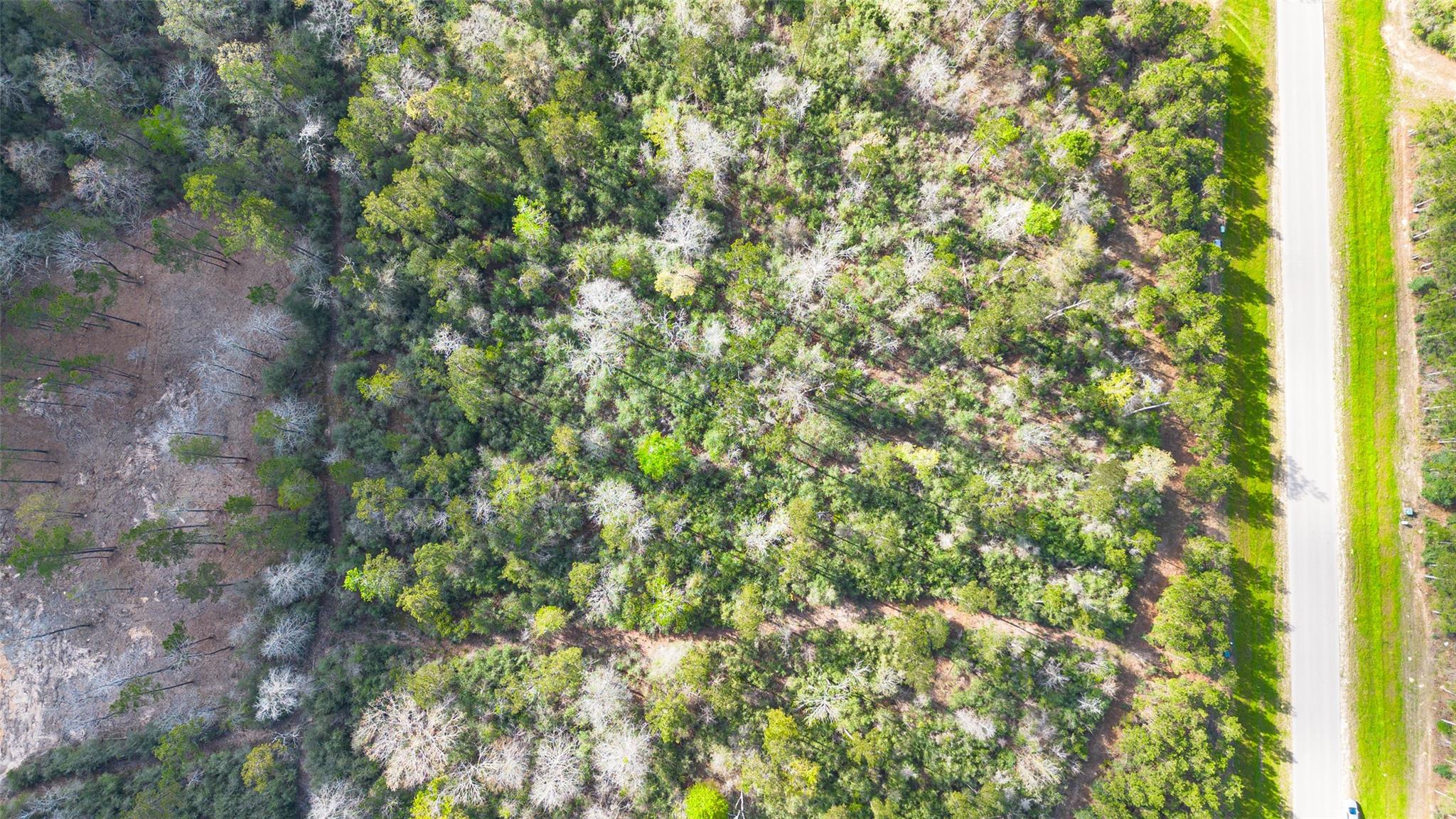 15982 Wood Grove Way