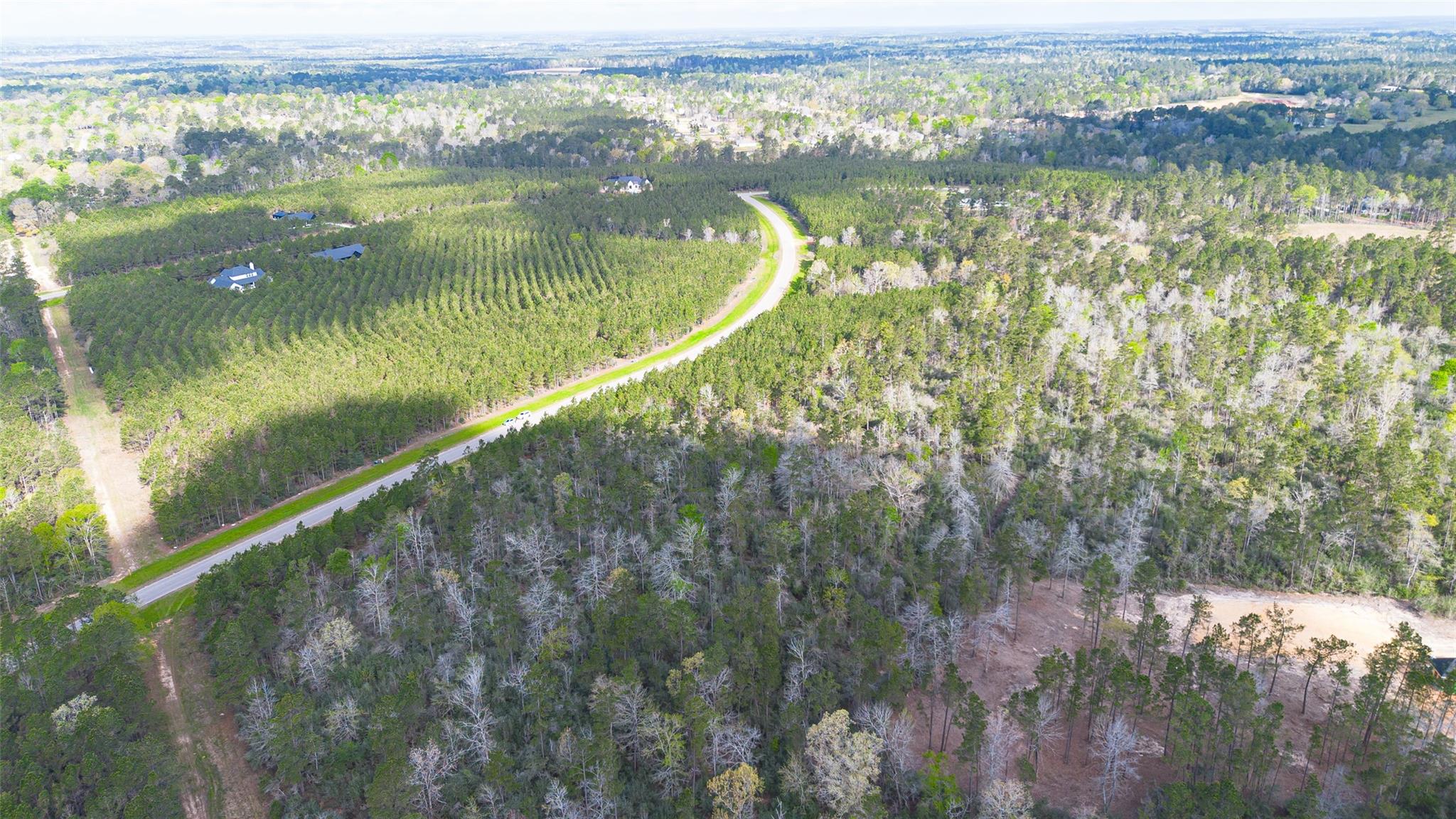 15982 Wood Grove Way