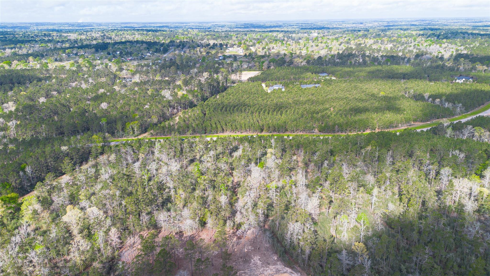 15982 Wood Grove Way