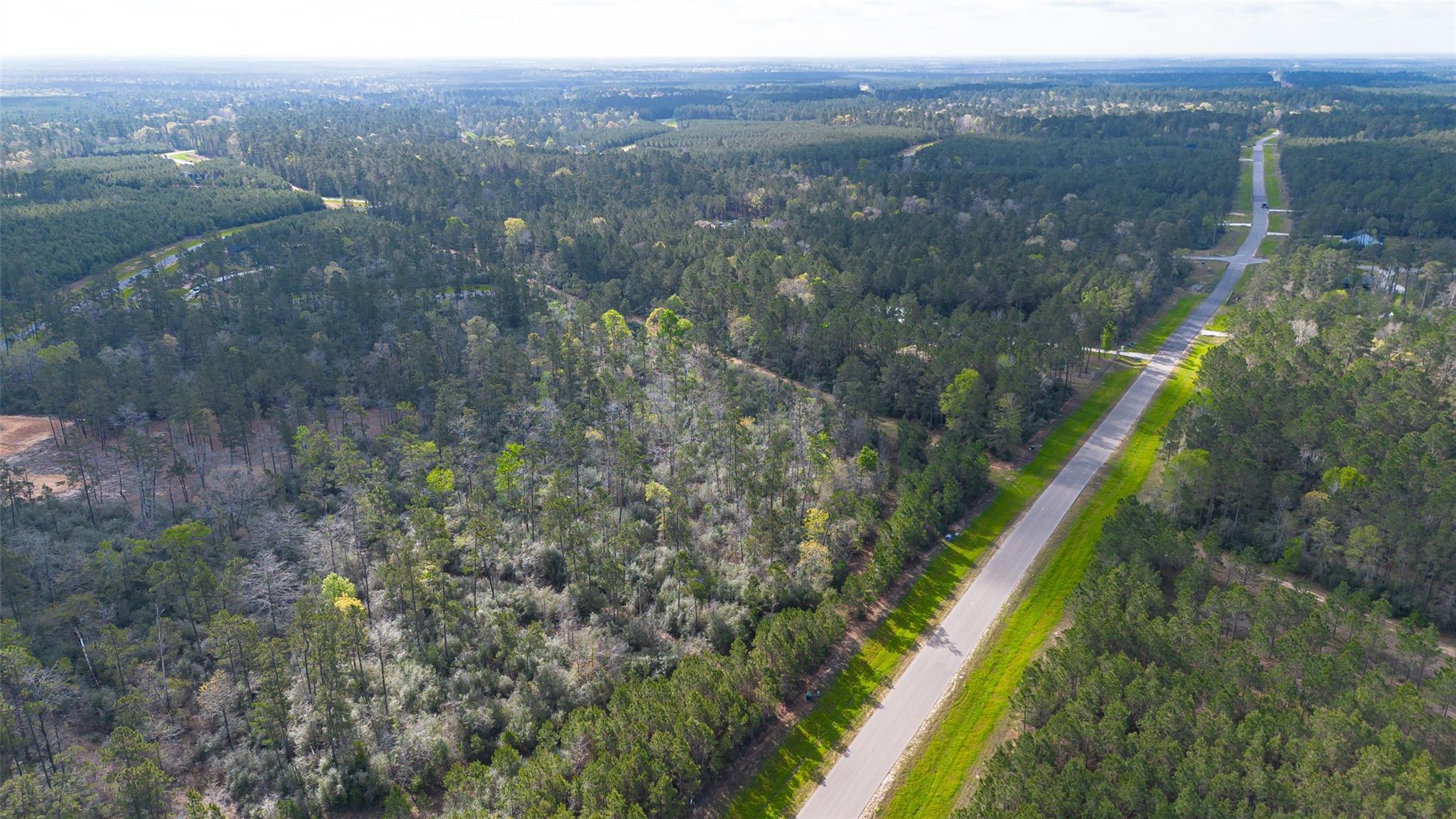 15982 Wood Grove Way