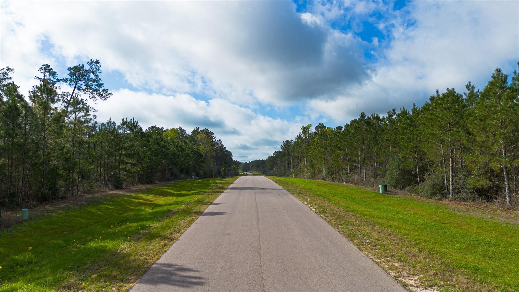 15982 Wood Grove Way