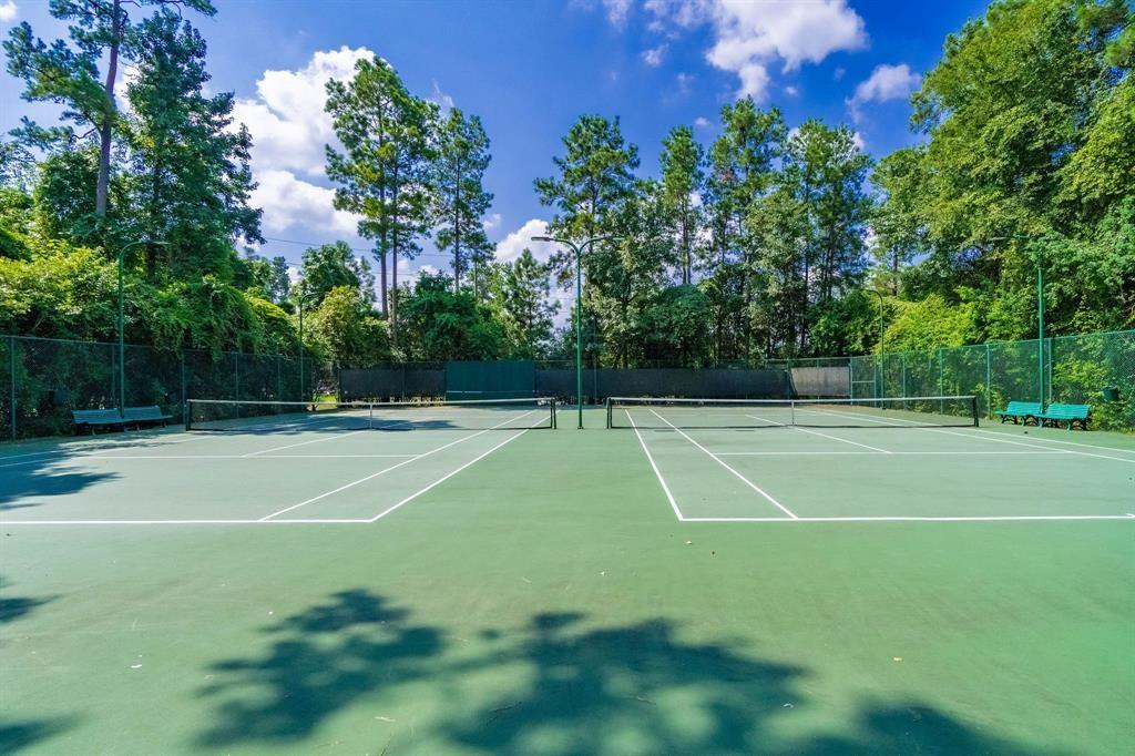 31502 Silverton Star Court