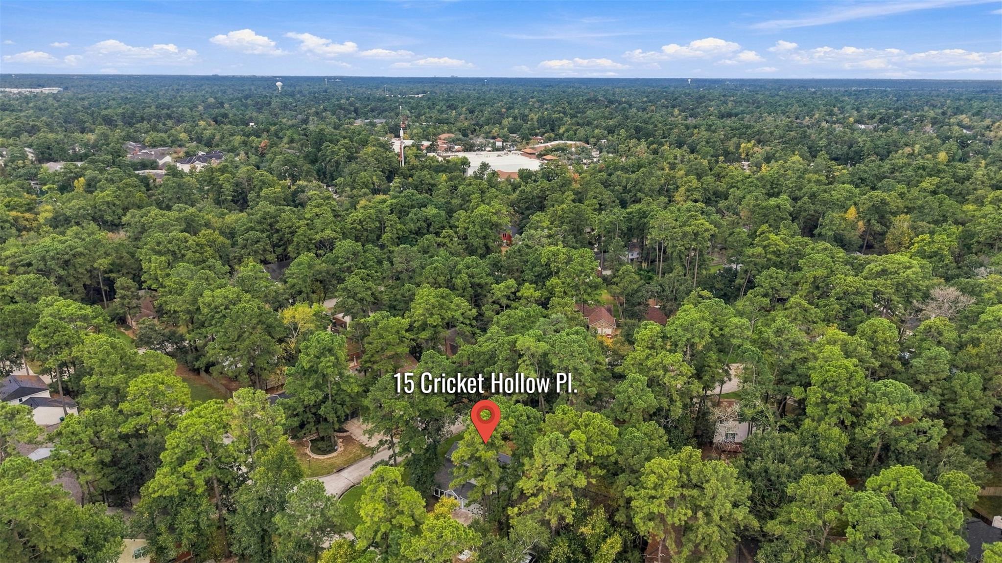 15 Cricket Hollow Place