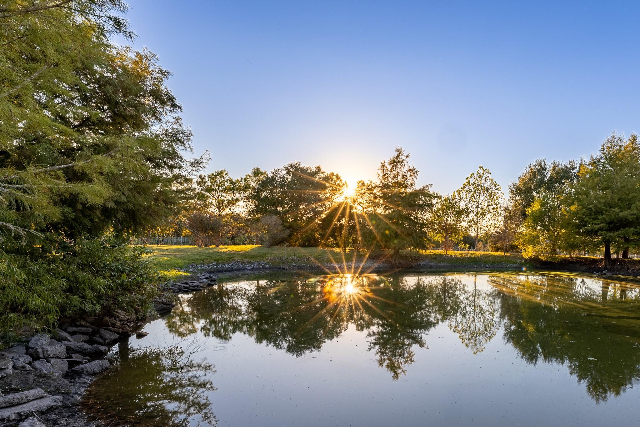 3100 Trails End Lane