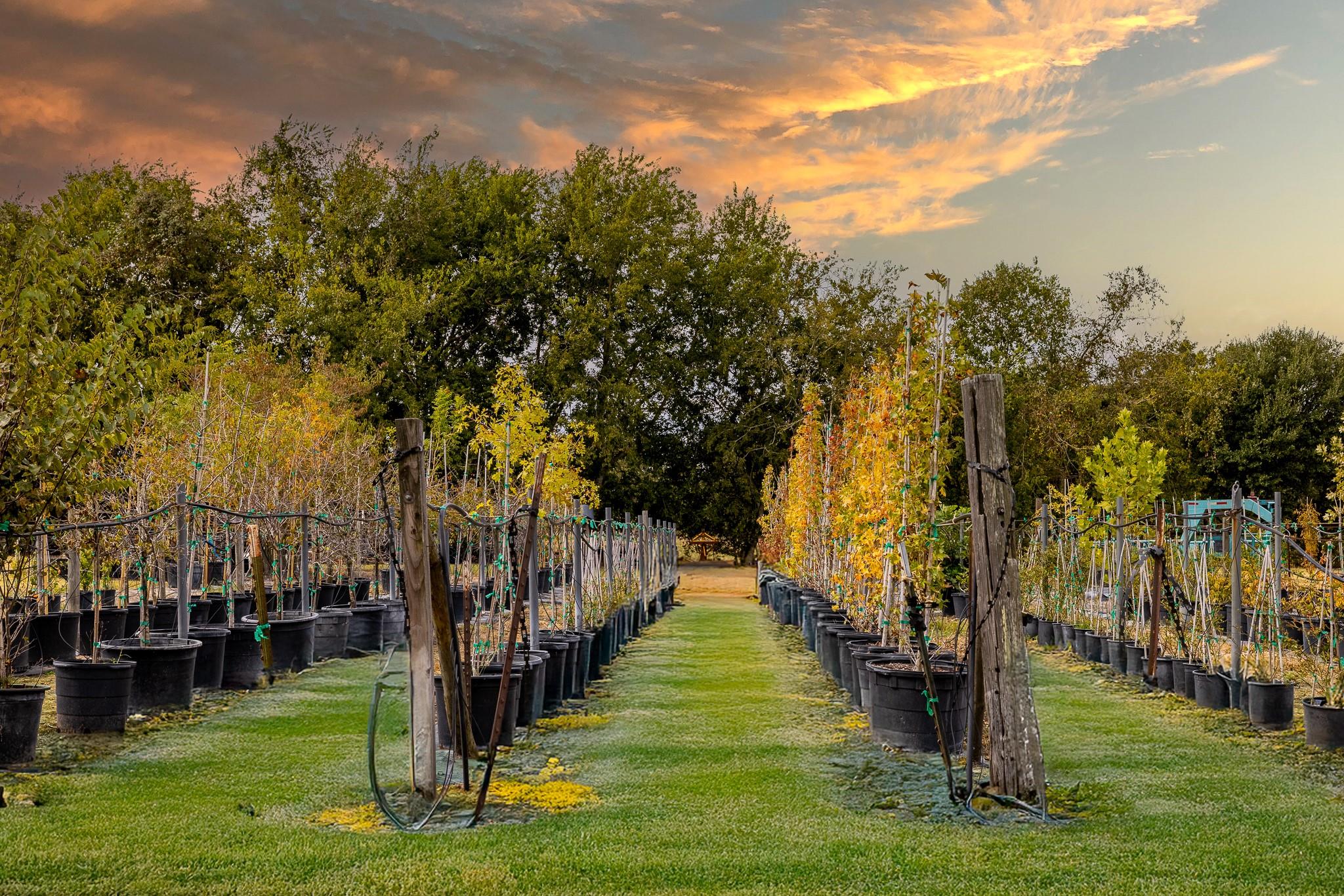 3100 Trails End Lane