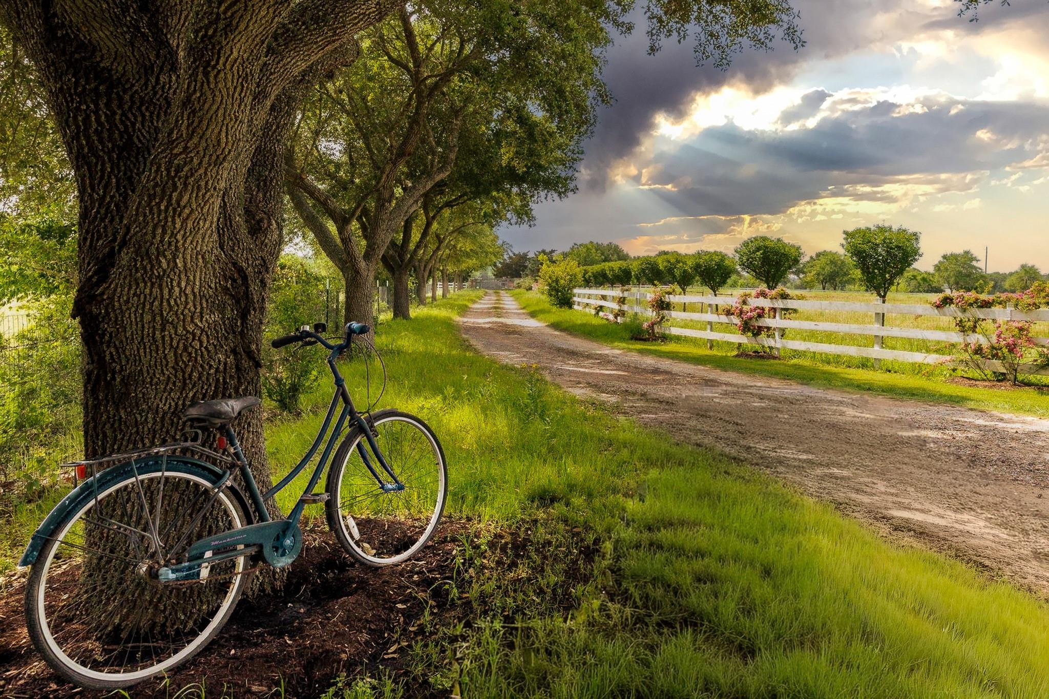 3100 Trails End Lane