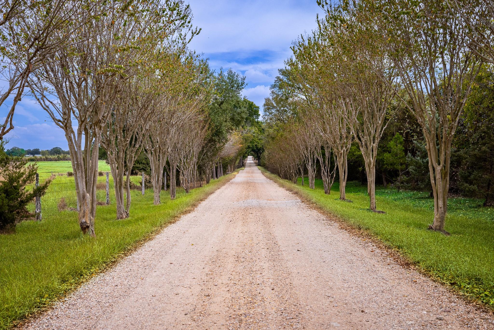 3100 Trails End Lane