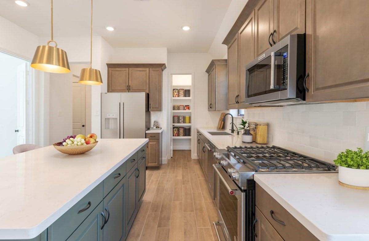 14651 Cedar Elm Court