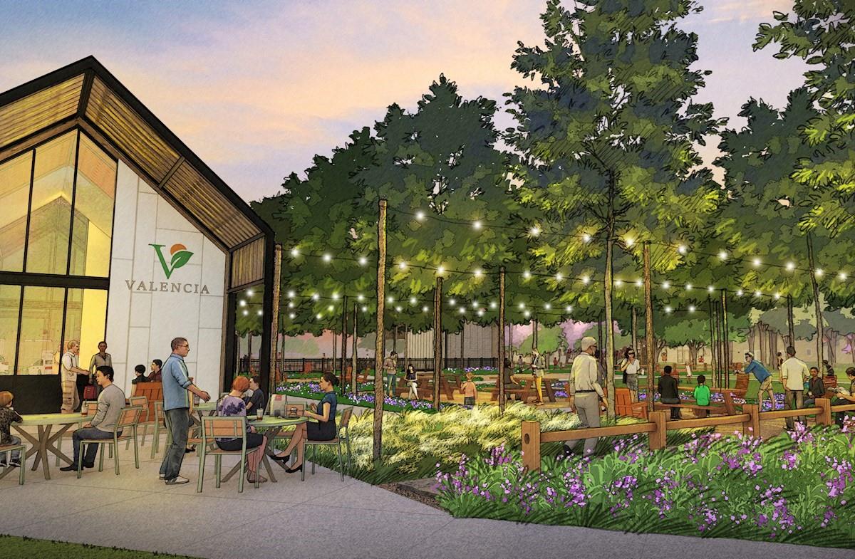 6330 Sparkling Citrus Street, Manvel