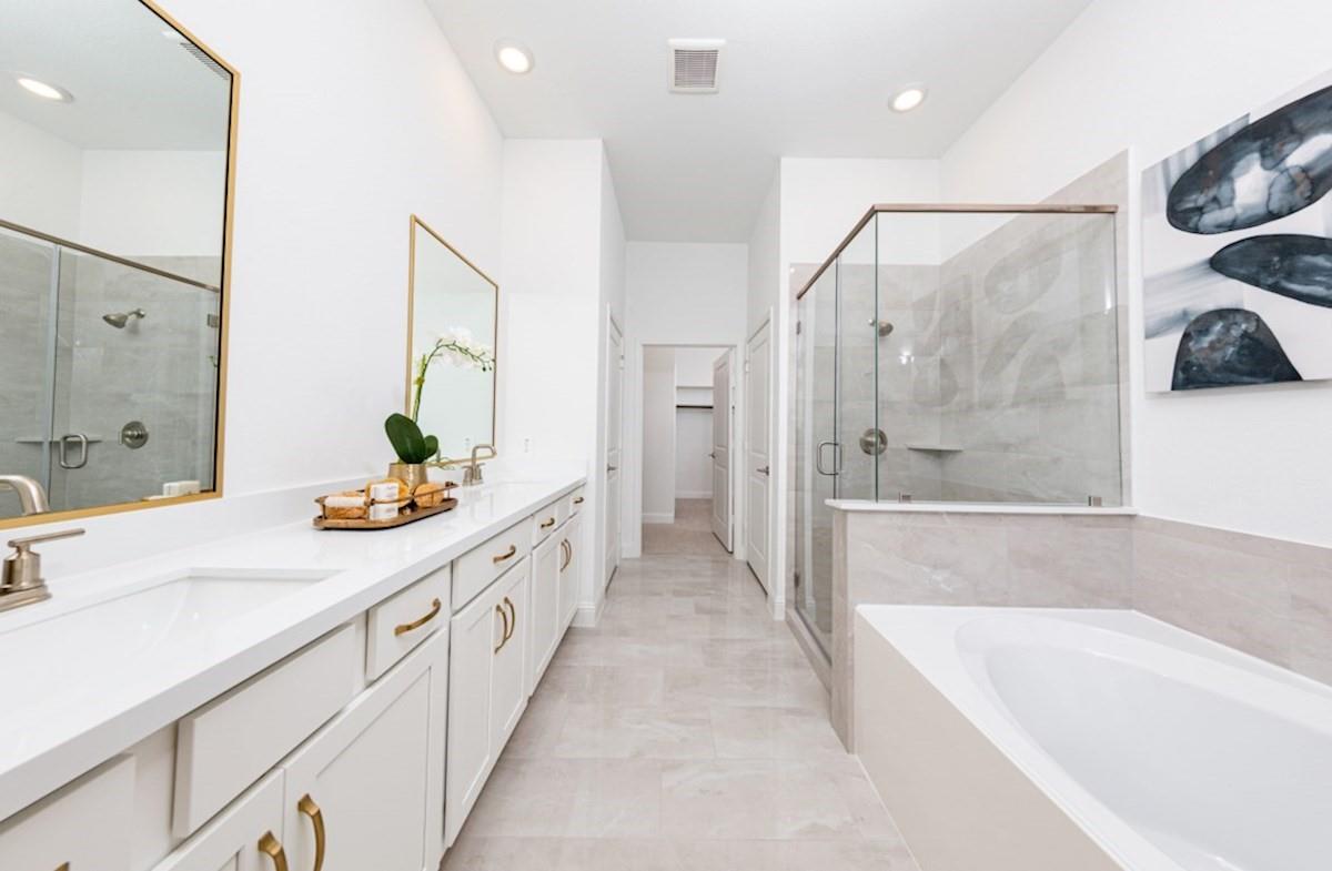 11415 Red Stripe Drive