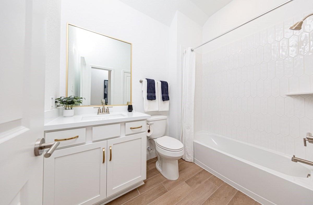 11415 Red Stripe Drive