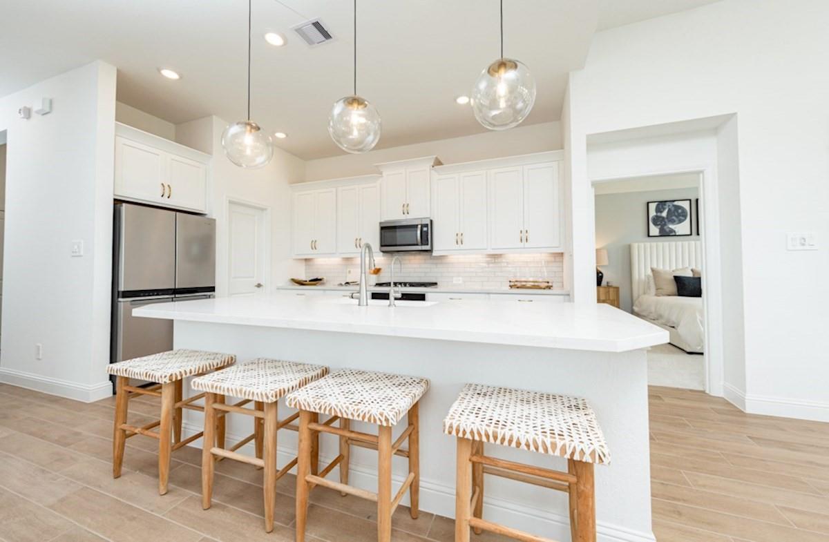 11415 Red Stripe Drive