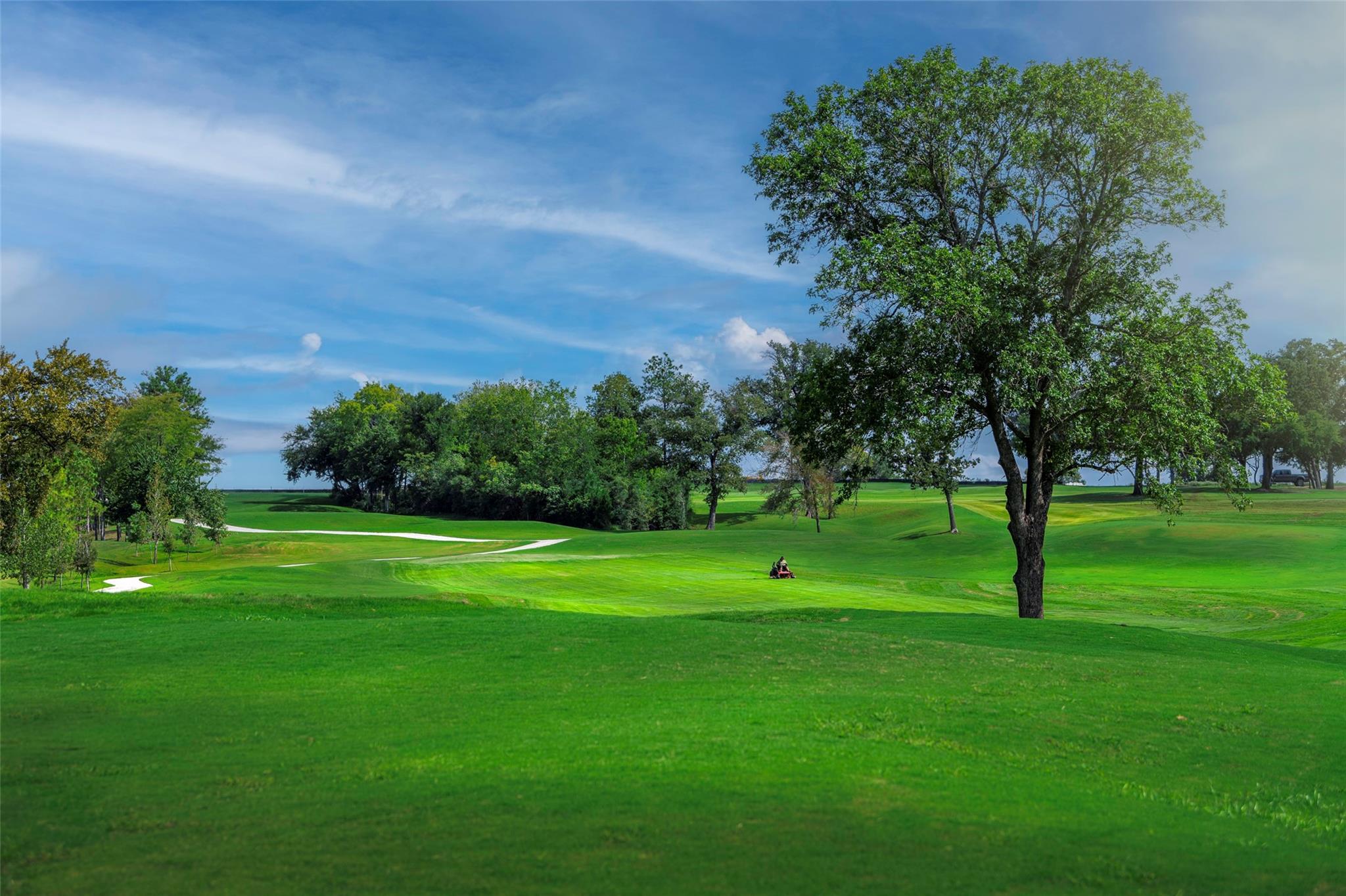 14607 Cedar Elm Court