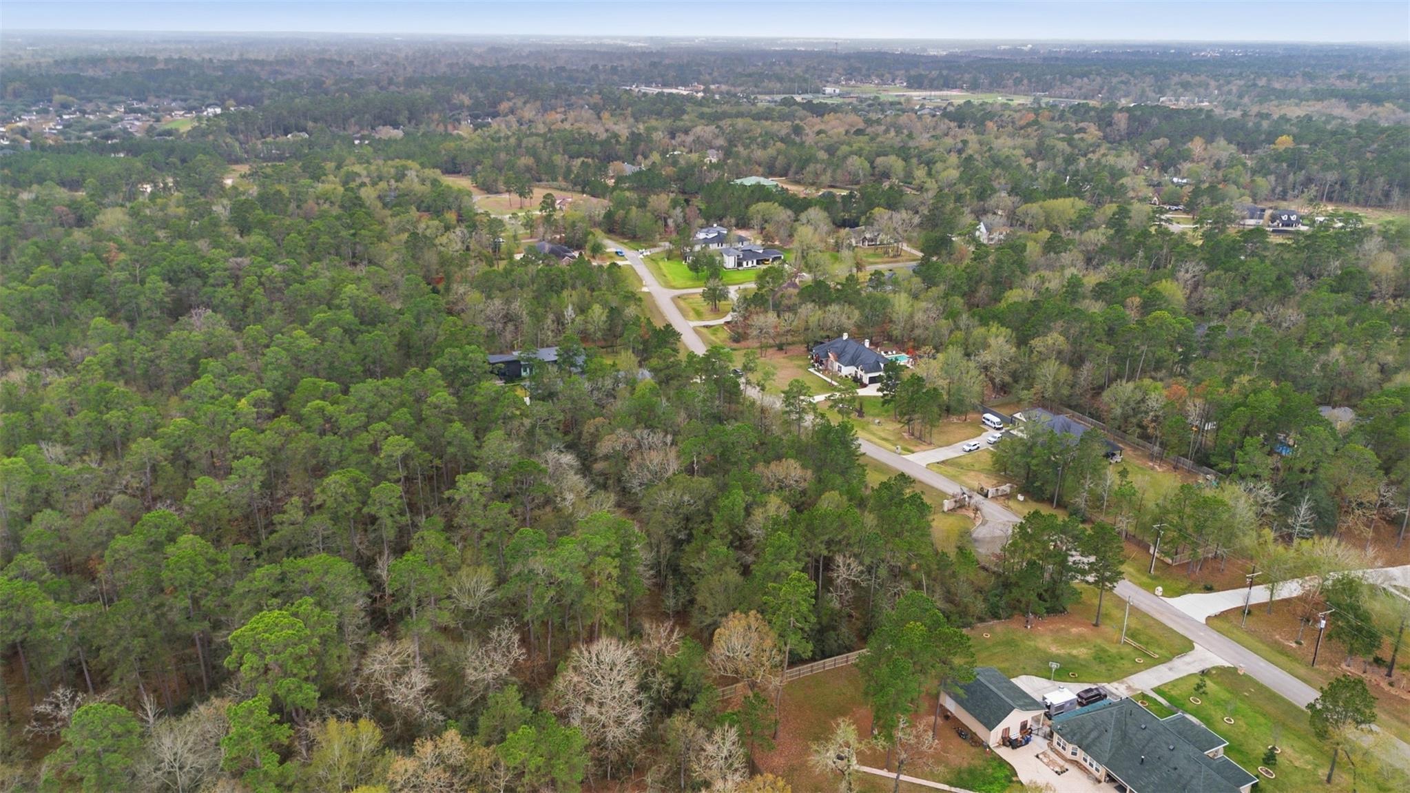 12033 Oak Forest Lane